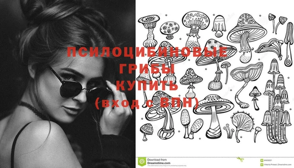 гашик Баксан
